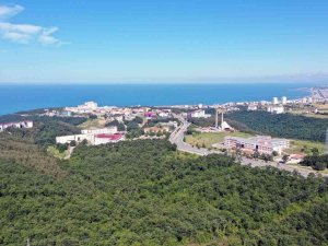 OMÜ Yeniden The Genç Üniversiteler Sıralamasında