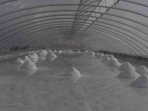 Mineral Deposu ’Delice Tuzu’ Coğrafi İşaret Tescil Belgesi Aldı