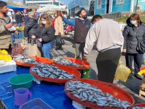 Müşteri Çekme Yarışı Yeri Göğü İnletiyor: İ̇stavrit 30, Hamsi 25 Tl