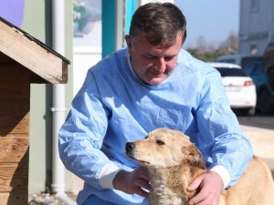 Hayvan Hastanesi’nin Umut’u Oldu