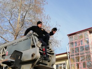 Ağaçta Asılı Kalan Kargayı İtfaiye Ekipleri Kurtardı