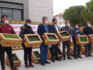 Muğla’da Nisan Sonuna Kadar 1 Milyon 900 Bin Fide Toprakla Buluşacak