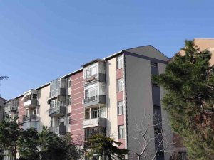 Kiralık Dairelere Talep Artıyor