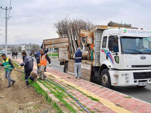 Diyarbakır’da Daha Yeşil Bir Alan İçin 60 Bin Ağaç Dikilecek
