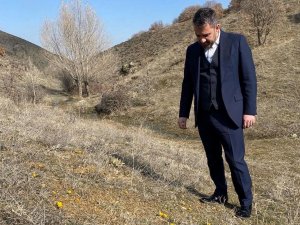 Pursaklar’da Baharın Müjdecisi Çiğdemler Çiçek Açtı