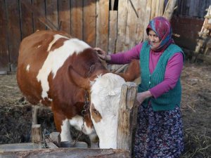 Yangınzede Kadın: “Yangında Başıma Tülbent Bile Alamadım”