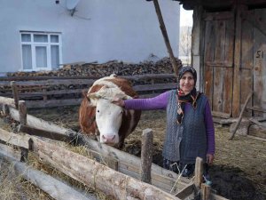 10 Yıl Arayla İki Kez Aynı Acıyı Yaşadı