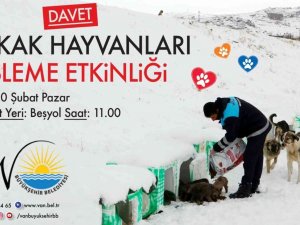 Van Büyükşehir Belediyesinden Sokak Hayvanları İçin Beslenme Etkinliği