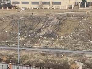Başkentteki Başıboş Köpek Sürüsü 11 Yaşındaki Çocuğa Saldırdı