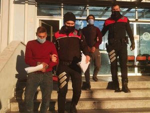 Pulluk Hırsızları Yakalandı