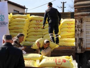 Büyükşehirden 2 Bin Üreticiye Gübre Desteği