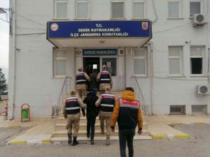 Mardin’de Kablo Hırsızları Jandarma Tarafından Yakalandı