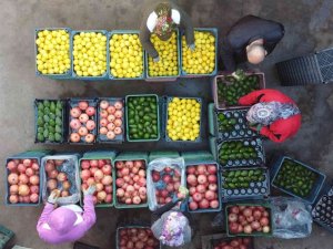Mersin’den Avrupa’ya Nar, Limon Ve Avokado İhracatı