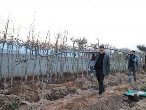 Daha Yeşil Bir Alaşehir İçin Çalışıyorlar