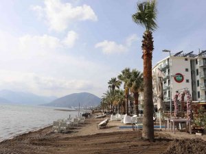 Marmaris’te Sahili Palmiyeler Kaplayacak