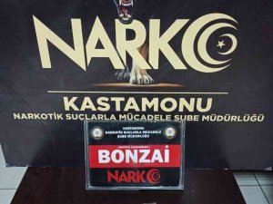 Kastamonu’da Üç Ayrı Uyuşturucu Operasyonu: 3 Gözaltı