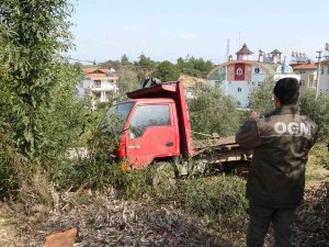 Ağaç Katliamında Kesilen Ağaçları Taşıyan Kamyon Önce Güvenlik Kameralarına. Sonra Jandarmaya Yakalandı