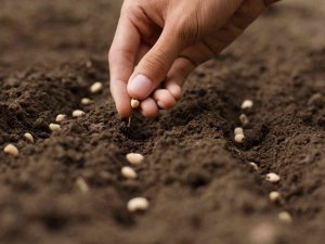 Ei̇b, Sürdürülebilirlik Adımlarını Güçlendiriyor