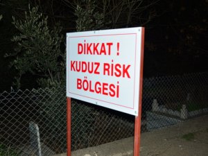 Mardin’de Vatandaşlara Saldıran Köpek Kuduz Çıktı, Mahalle Karantinaya Alındı
