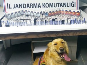 286 Paket Kaçak Sigara Bulundu