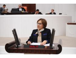 Uludağ’daki Kazalar Mecliste
