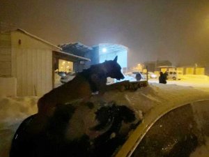 Taksinin Tepe Lambasını Uyuşturucu Zulasına Çeviren 4 Kişi Yakalandı