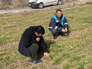 Gediz’de Hububat Çıkış Kontrolleri