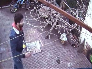 Ataşehir’de Elleri Cebinde Hırsız, Muhabbet Kuşunu Çaldı