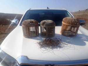 Şanlıurfa’da Kaçak Avcılara Ceza Yağdı
