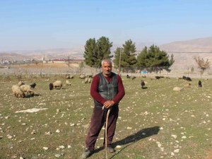 Kentten Köye Göç Edip Devlet Desteğiyle Çiftçilik Yapıyorlar