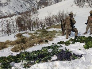 Ekipler, Jandarma İle Birlikte Doğaya Yem Bıraktı
