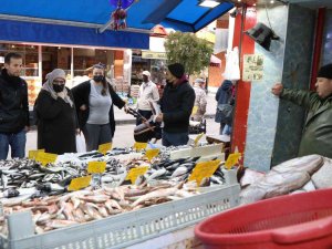 Balık Vatandaşa Pahalı Satıcısına Ucuz Geldi