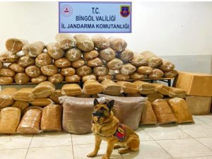 Bingöl’de 650 Kilo Kıyılmış Tütün Ele Geçirildi