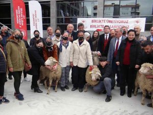 Yangın Mağduru Kadın Üreticilere 10 Bin Koyun