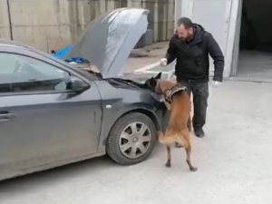 Şırnak’ta Aracın Motor Kısmına Saklanan Uyuşturucuyu ‘Stark’ Buldu