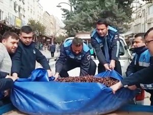 Şanlıurfa’da Küflenmiş Yarım Ton Hurma Ele Geçirildi