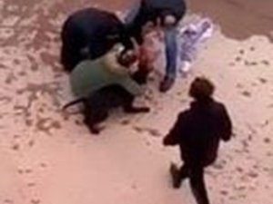 Minik Asiye’nin Pitbull Saldırısına Uğramasına İlişkin Dava Başladı
