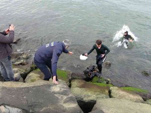 Ordu’da Yamaç Paraşütçüsü Eğitim Sırasında Denize Düştü