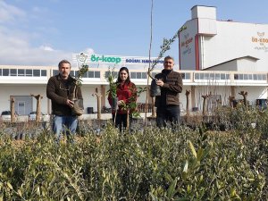 Örkoop’tan Bölge Tarımına Kaliteli Fidan Desteği