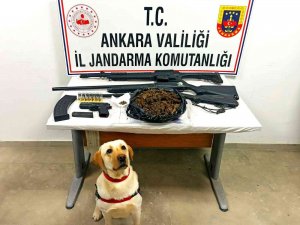 Başkent’te Jandarma Operasyonları İle Suça Ve Suçluya Göz Açtırılmıyor