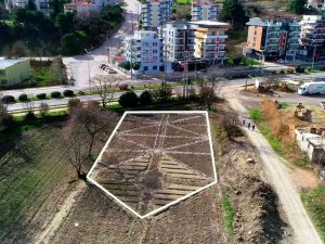 Mustafakemalpaşa Aromatik Bitkiler Bölgesi Oluyor