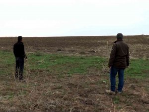 Adıyaman’da Sülün Kuşu İle Biyolojik Çeşitlilik Arttı