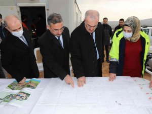 Valilik Zarar Gören Ağaçlar İçin Kayıtsız Kalmadı, İnşaat Çalışmaları Durduruldu