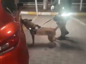 Tem Otoyolunda Uyuşturucu Operasyonu: 4 Tutuklama