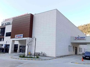 Otomobil, Deniz Kenarına Uçuruma Yuvarlandı: 1 Ölü, 2 Yaralı