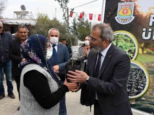 Tarsus Belediyesi, 24 Mahallede Üreticilere Ücretsiz Fidan Dağıttı