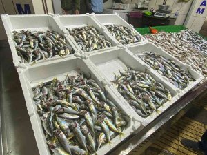 Balıkçılar Sezon Umutsuz Kapatıyor