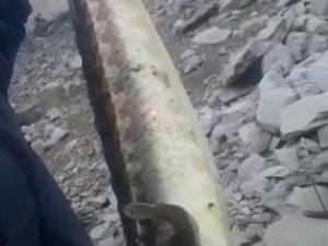 200 Milyon Yıldır Var Olan Mersin Balığı Gümüşhane’de Görüldü