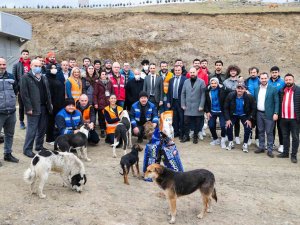 Futbol Ve Basketbolculardan Sokak Hayvanlarına Destek