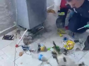 Havalandırmada Sıkışan Yavru Kediyi İtfaiye Kurtardı